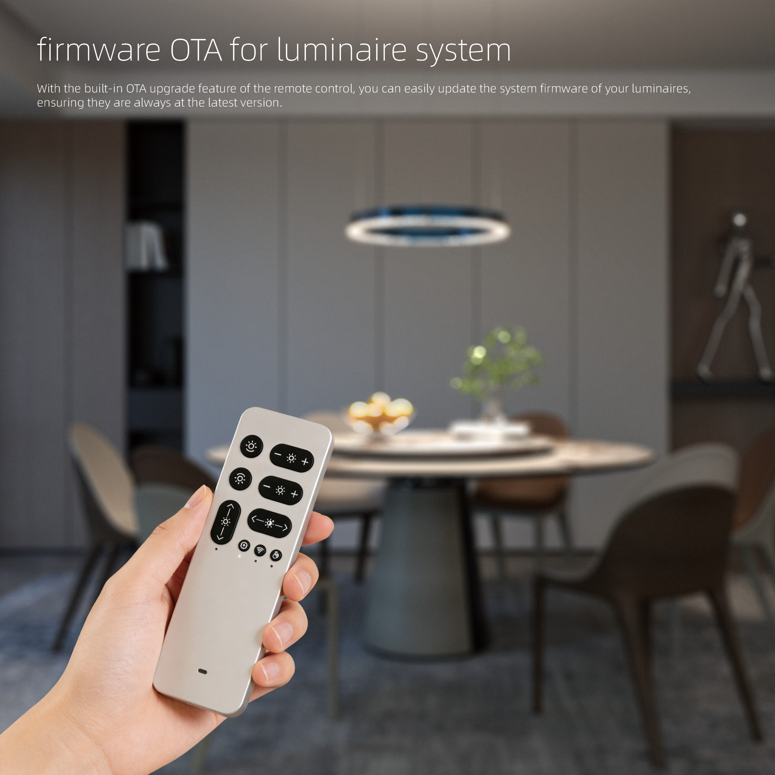 firmware OTA for luminaire system